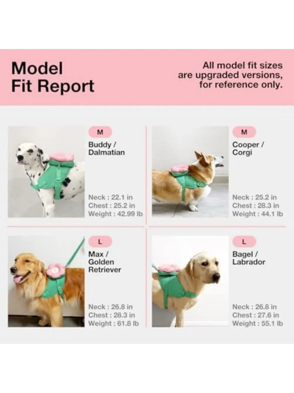 Floral Dog Harness Set with Leash & Collar - No Pull Vest for Small Dogs